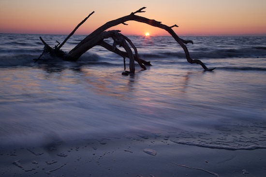 Bark;Beach;Beaches;Blue;Branch;Branches;close of day;Contour;Drift;driftwood;dusk;evening;eventide;Form;Herbaceous;last Light;Ocean;Orange;Outline;Plant;Profile;Purple;Sea;seafoam;Shadow;Shape;Shore;Shoreline;Silhouette;Sky;sun;sunset;Tree;Tree Trunk;Trees;Trunk;Water;Waves;whitewater;Yellow